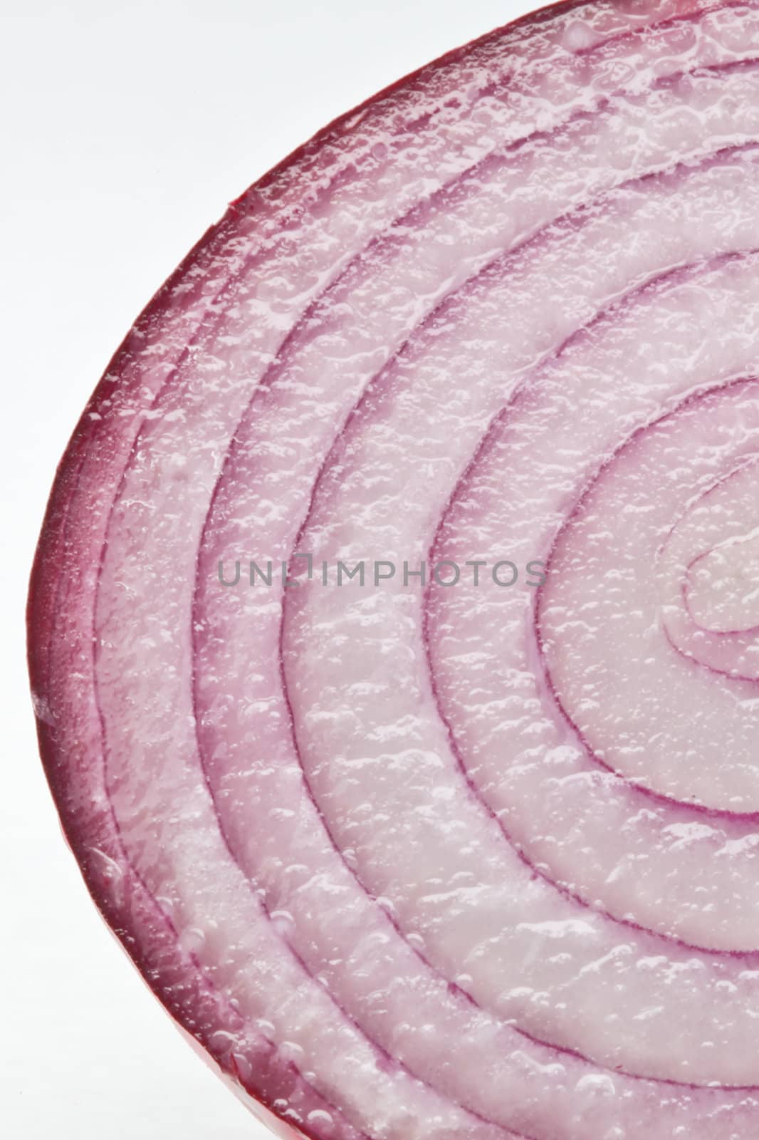A fresh red onion cut in half exposing the circular rings in a close up shot
