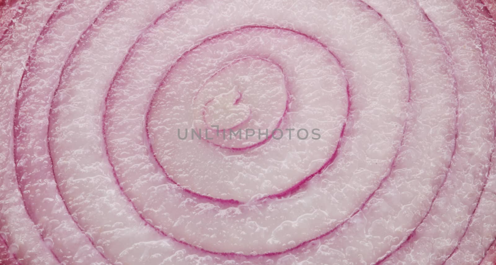 A fresh red onion cut in half exposing the circular rings in a close up shot