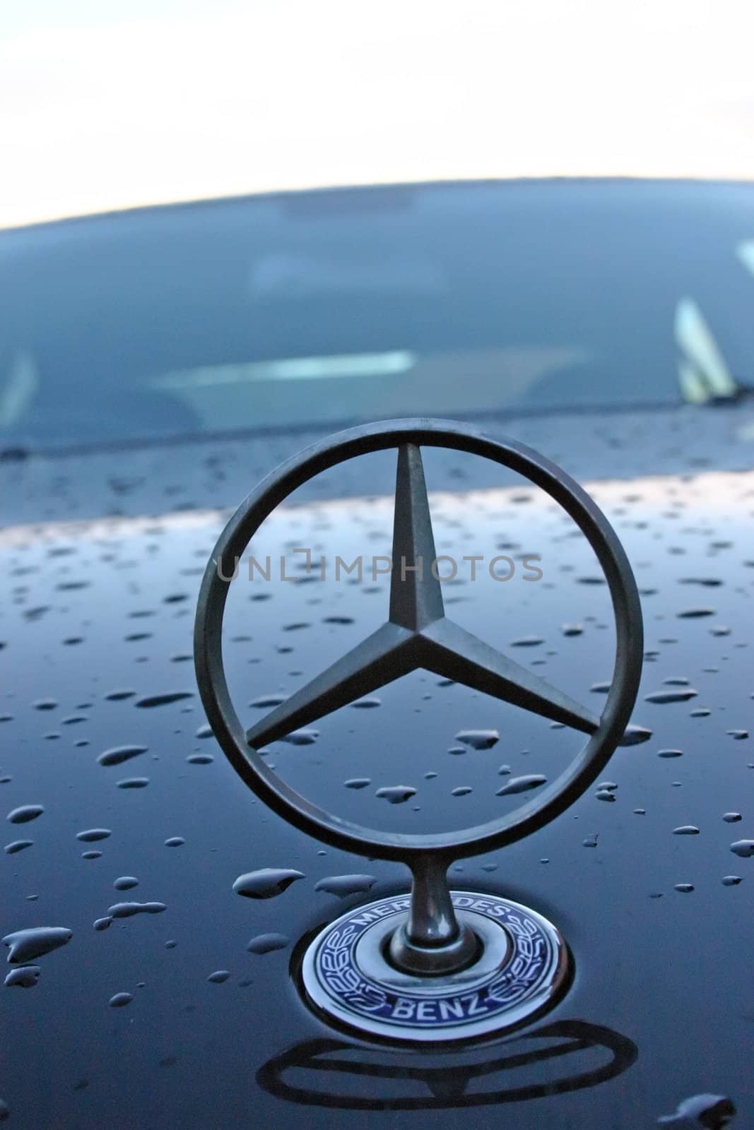 Mercedes Star Badge by green308