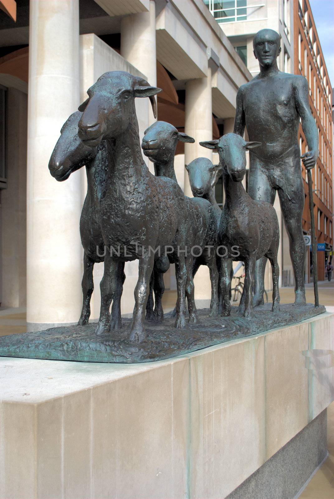 modern sculpture of shepherd asnd sheep near st pauls cathedral