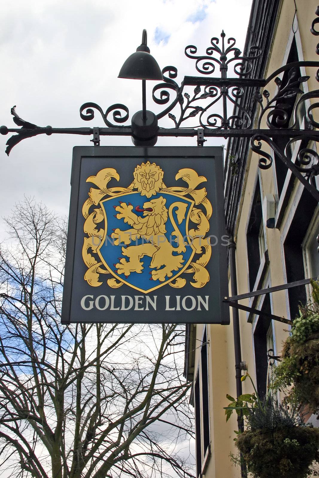 Golden Lion Pub Sign in Chester UK by green308