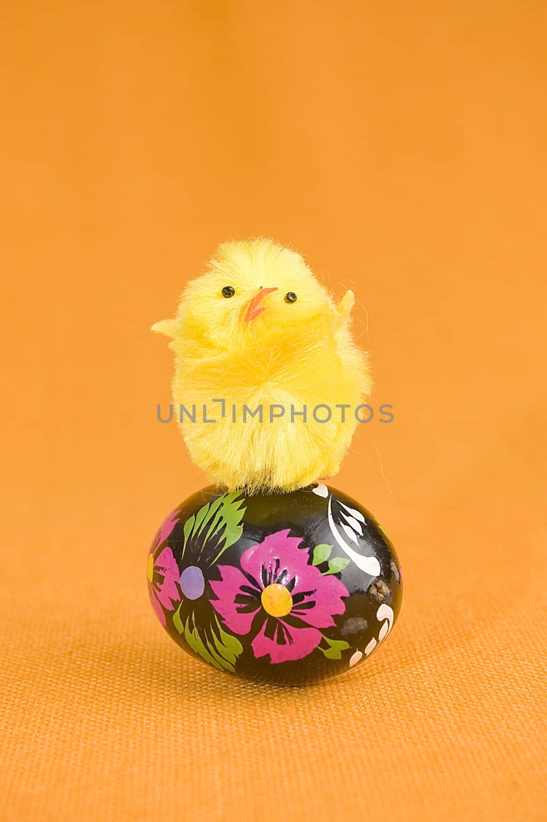 Cute little chicken standing on easter egg.