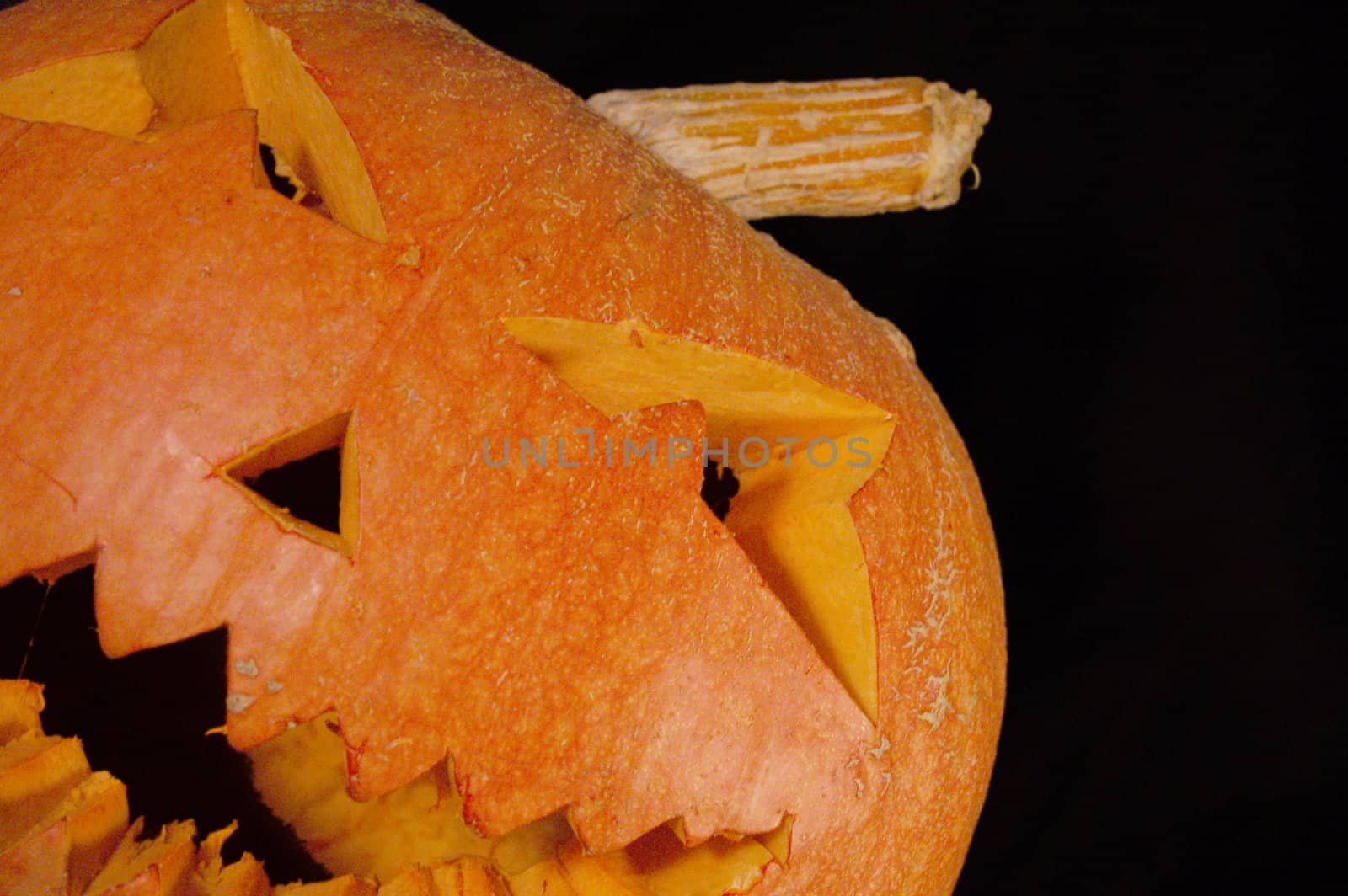 Halloween pumpkin by johnnychaos