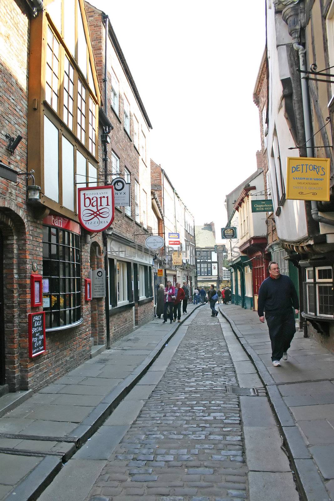 Tourists in The Shambles York UK by green308