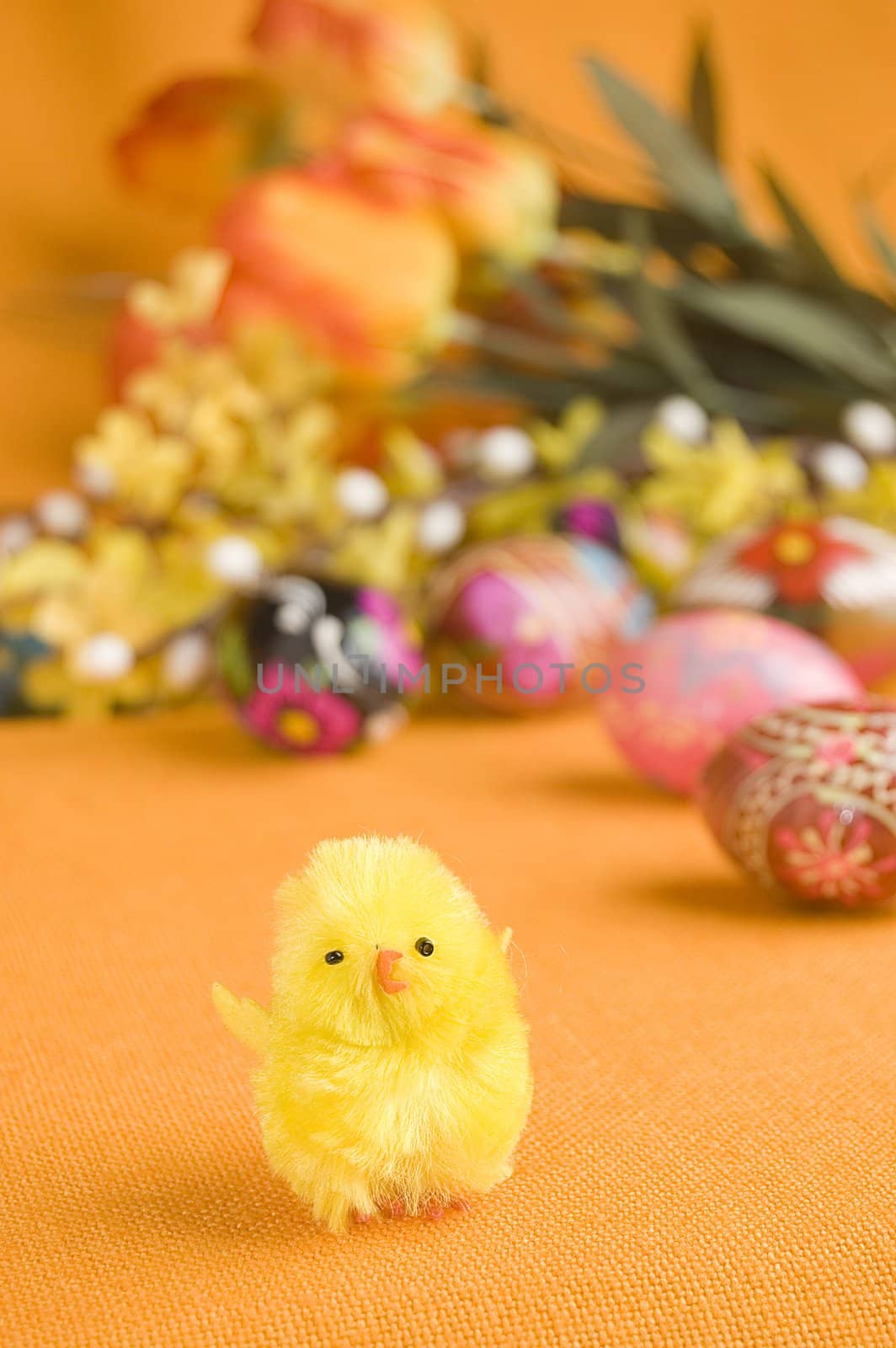 Cute little chicken and easter eggs.