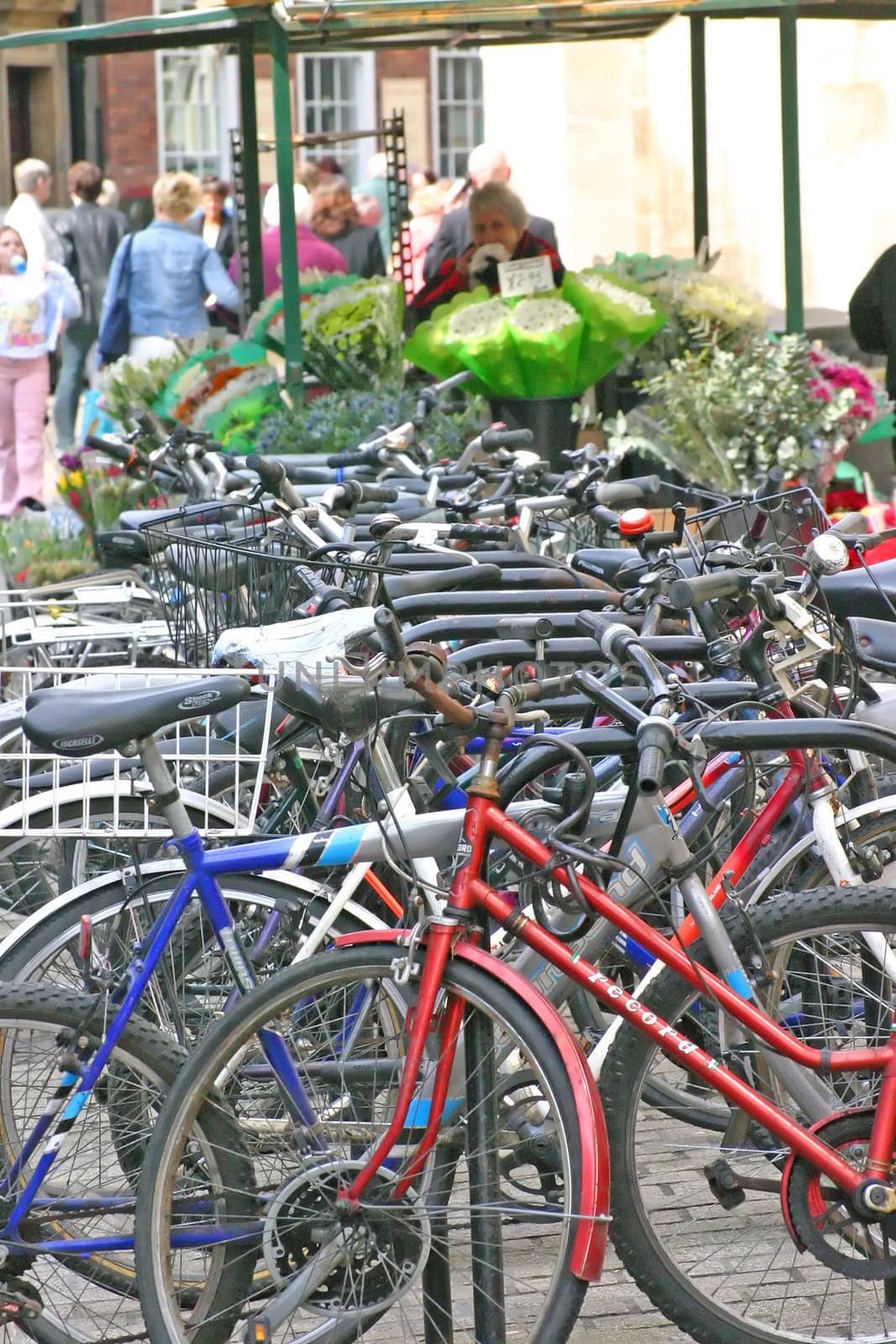 Pedal Bikes Parked in York England UK