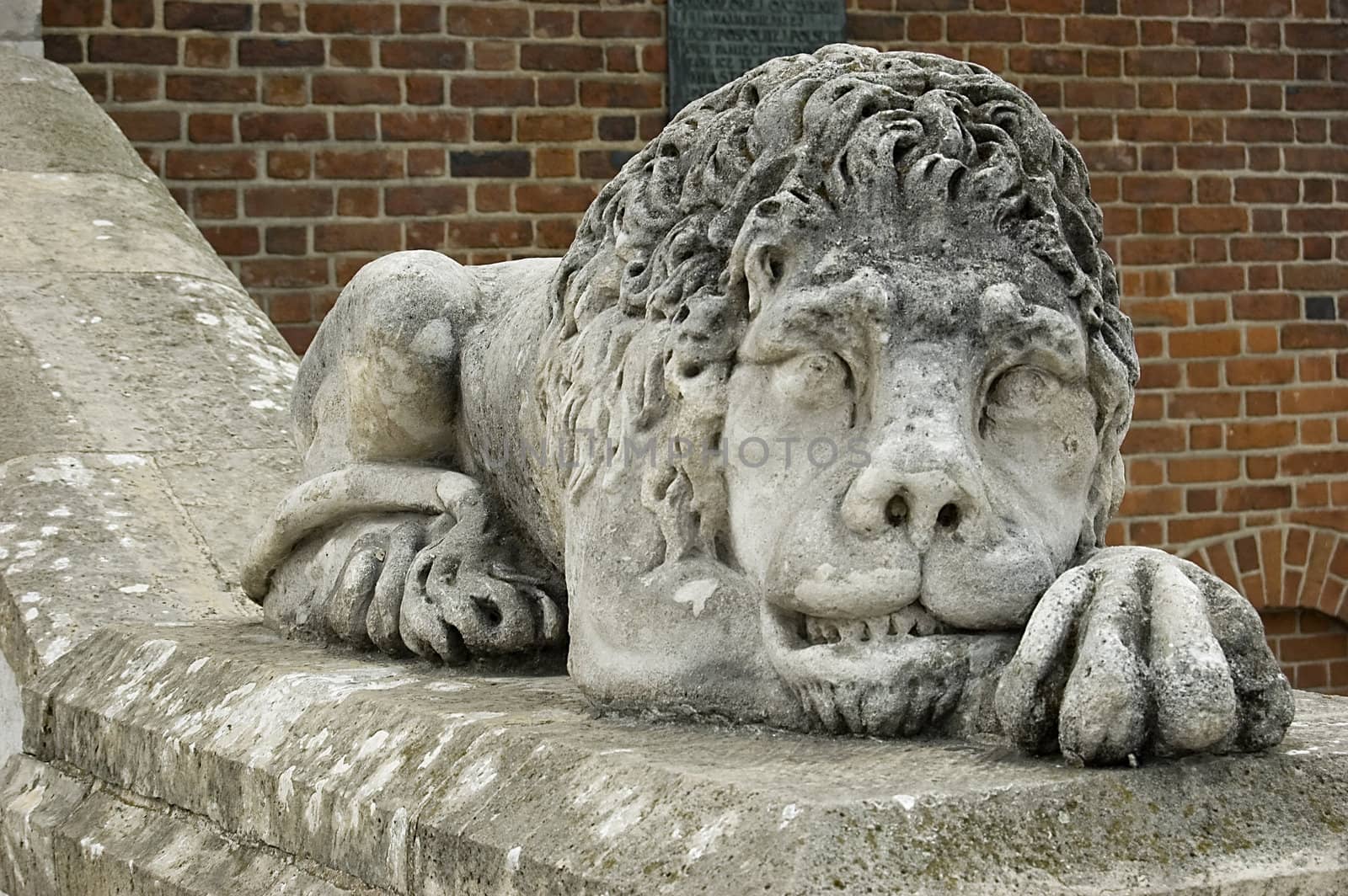 A lion statue by johnnychaos