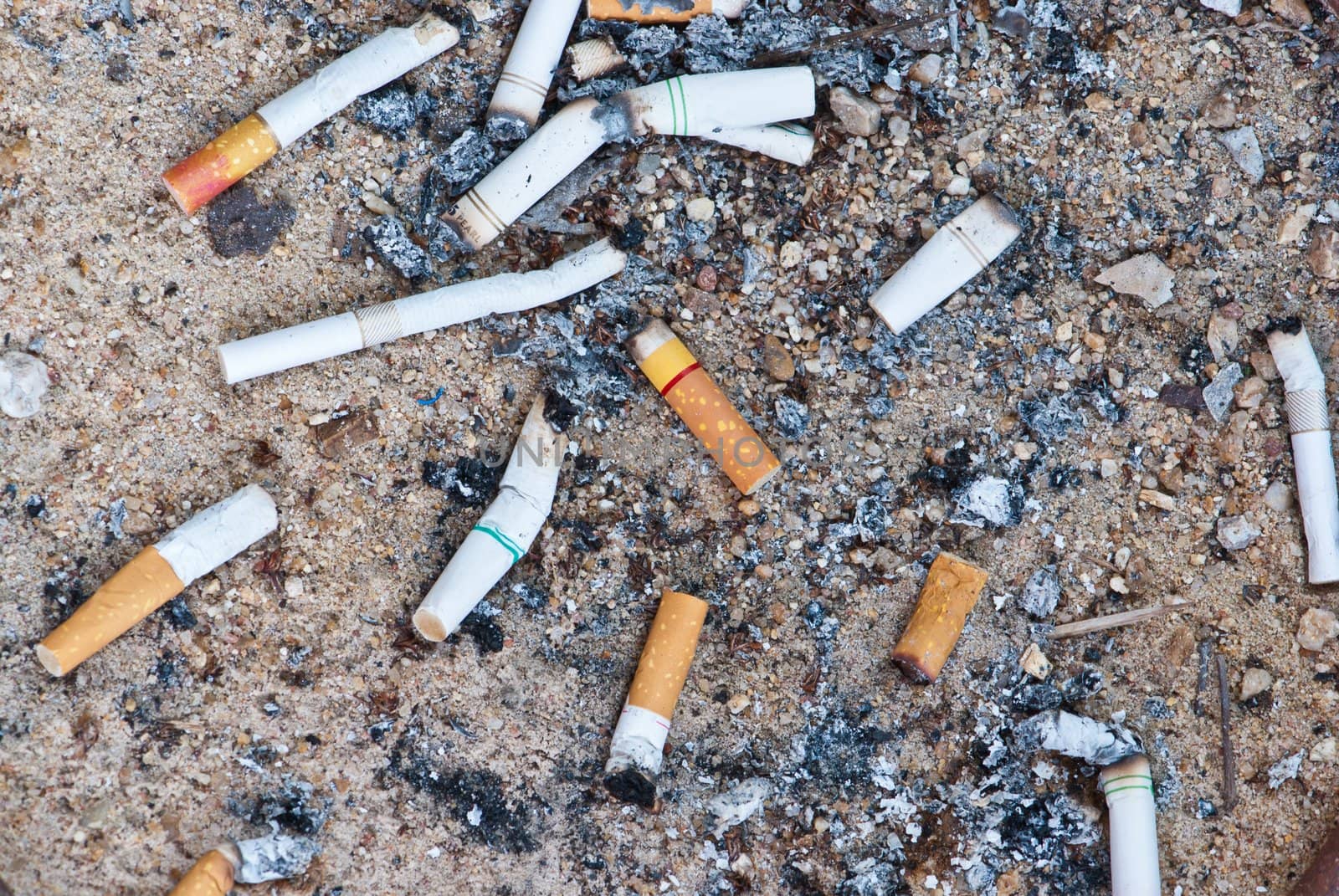 Lots of cigarette buds on sandy background
