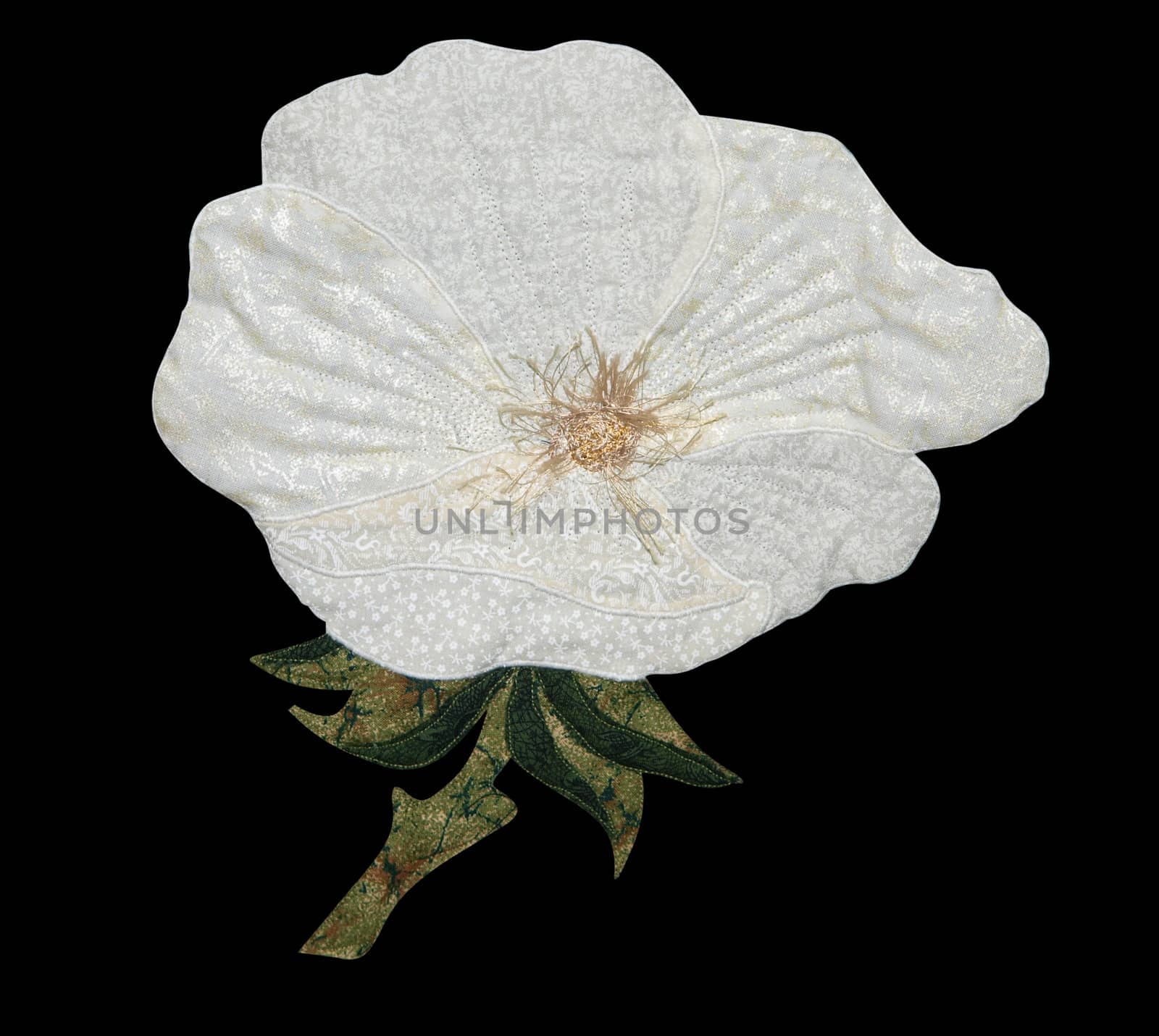 White Cloth Poppy by MargoJH