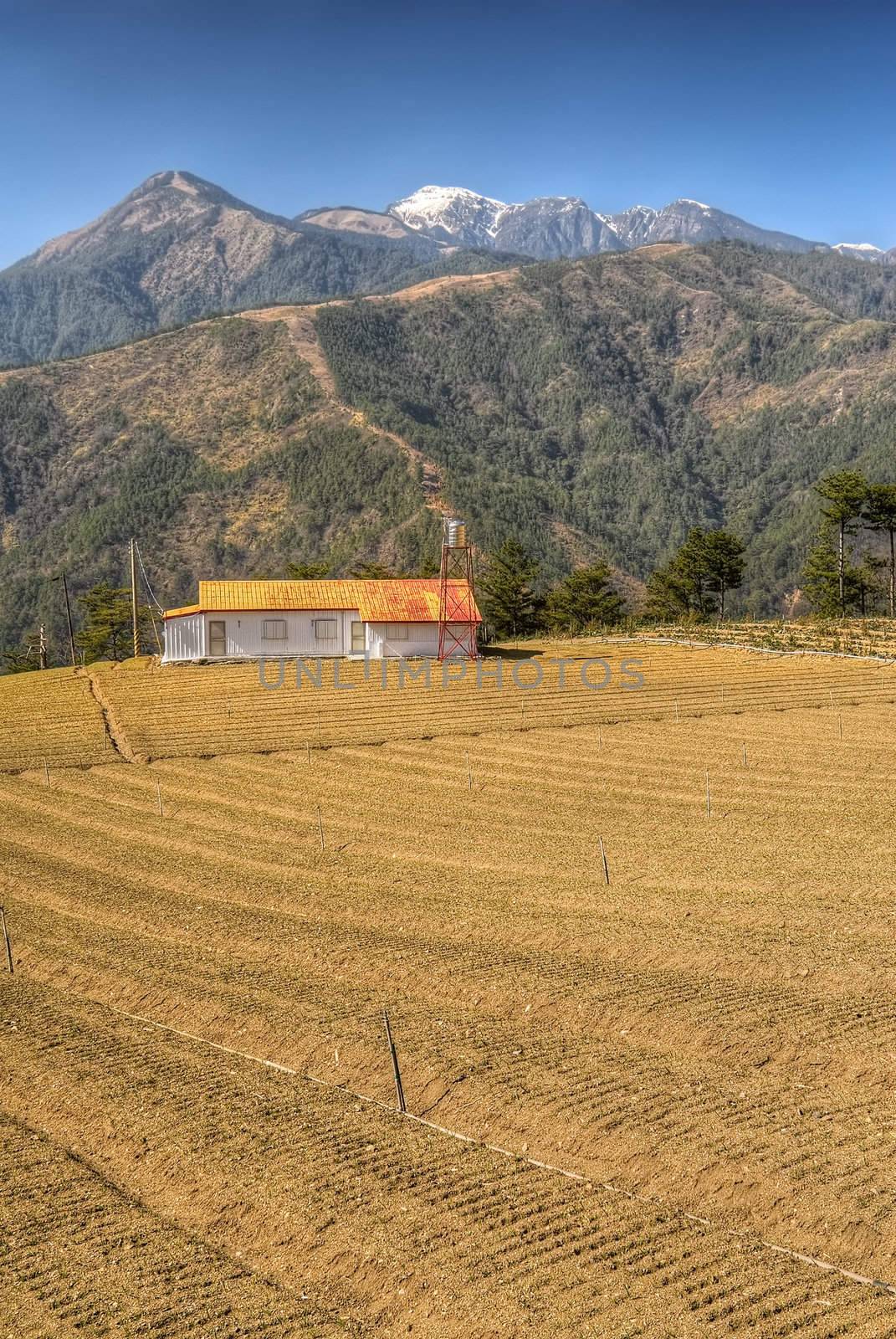 Rural scenery with empty farm in fall and snow mountain under blue sky in Taiwan, Asia.