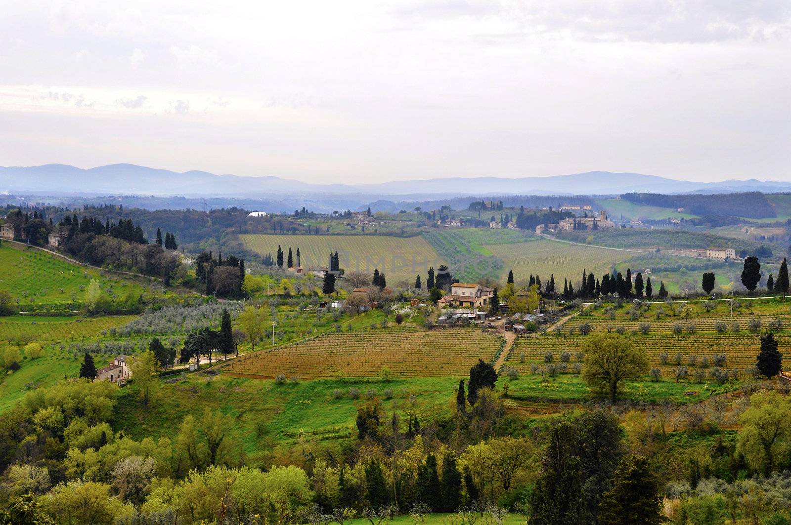 Typical Tuscany landscape in spring