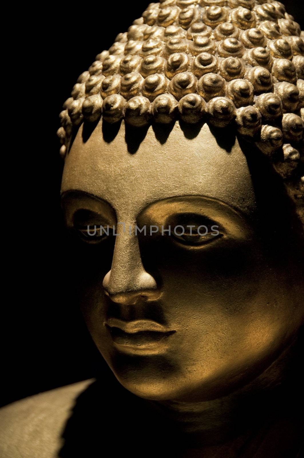 Golden Buddha statue, portrait photography