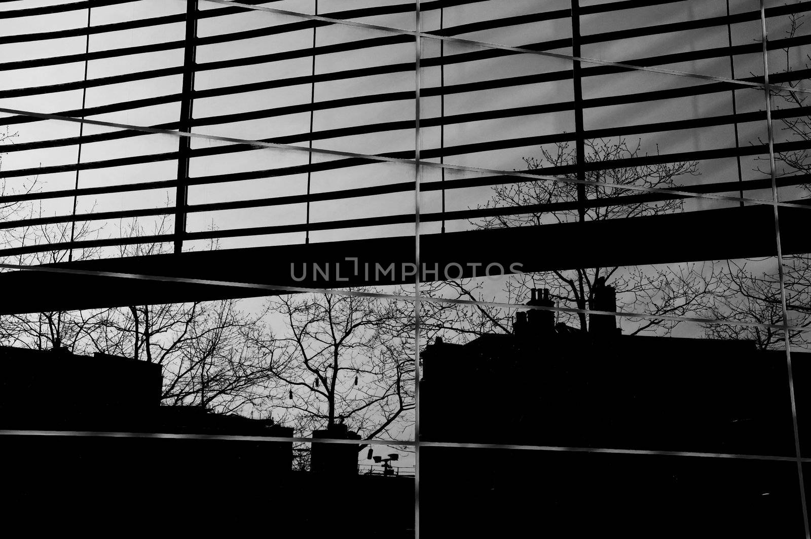 Reflection of buildings and trees on a glass facade, black and white photography