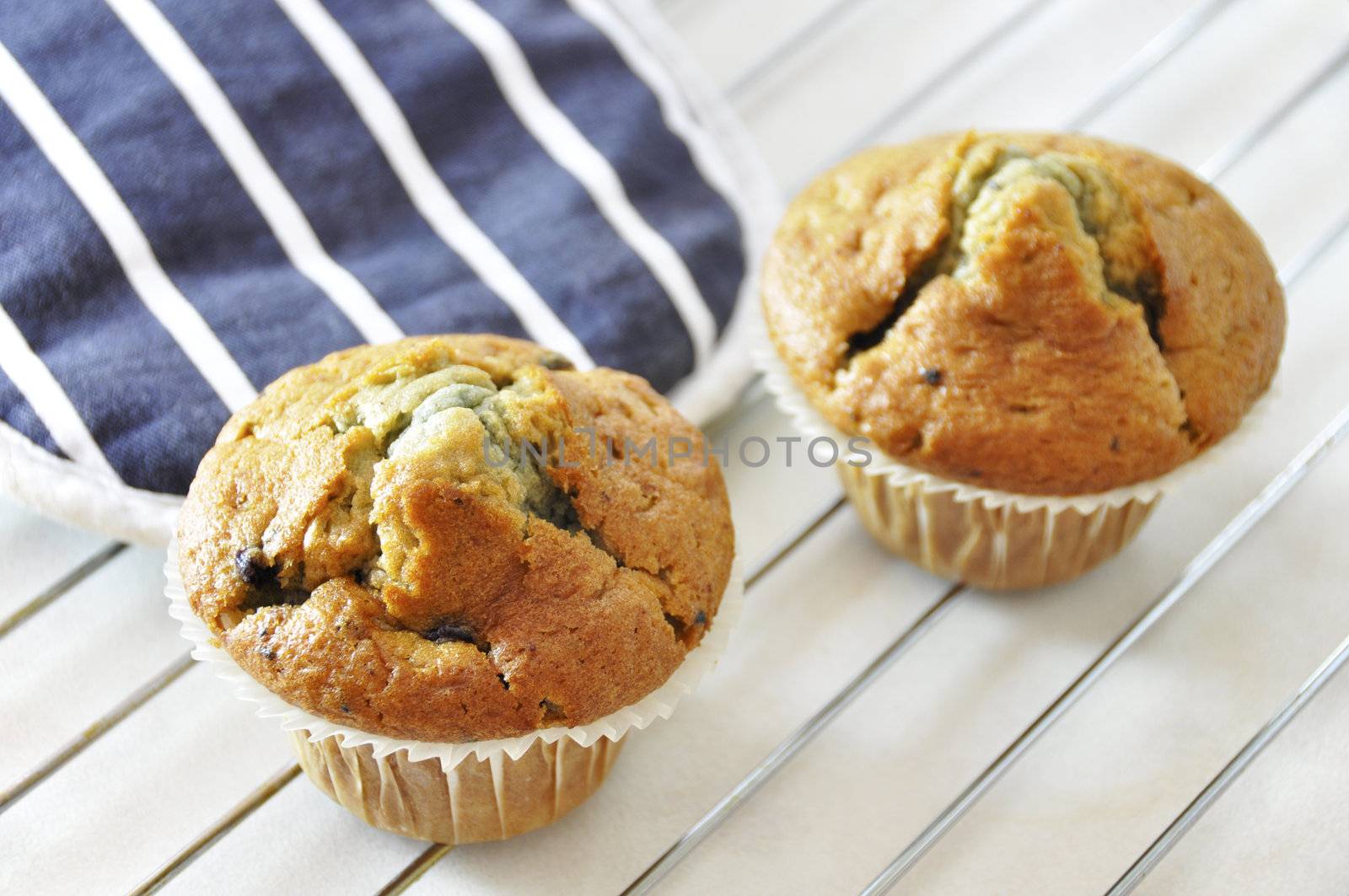 Two freshly baked blueberry muffins