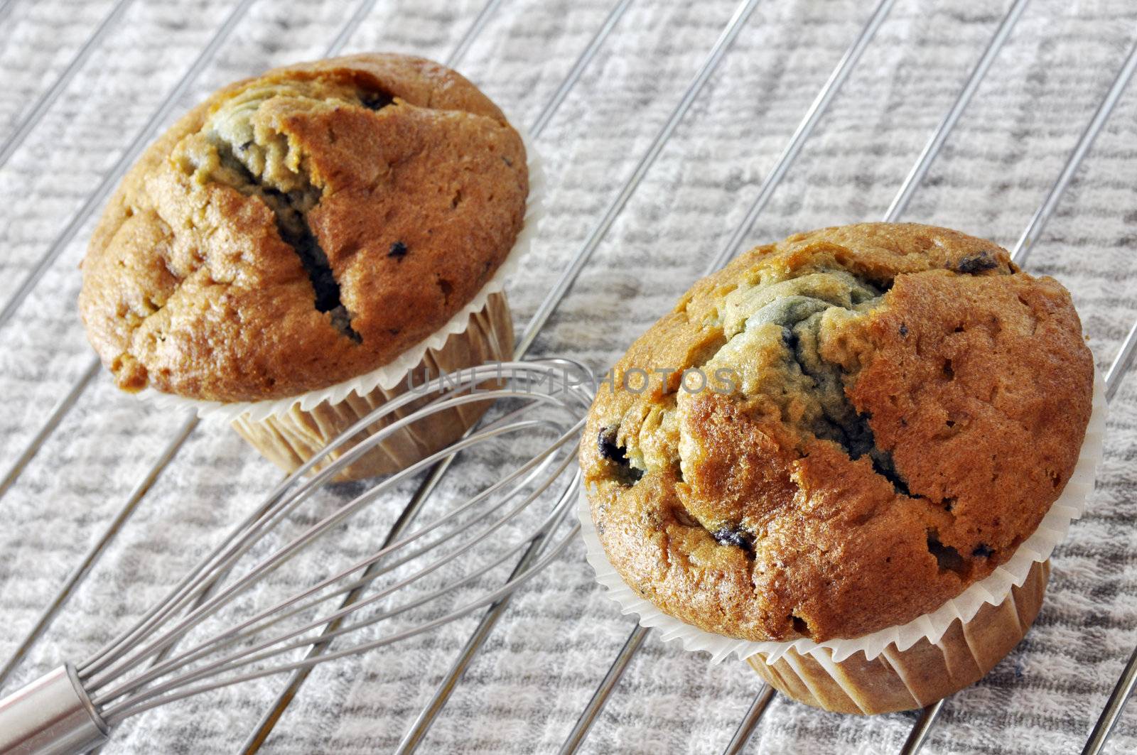 Two freshly baked blueberry muffins