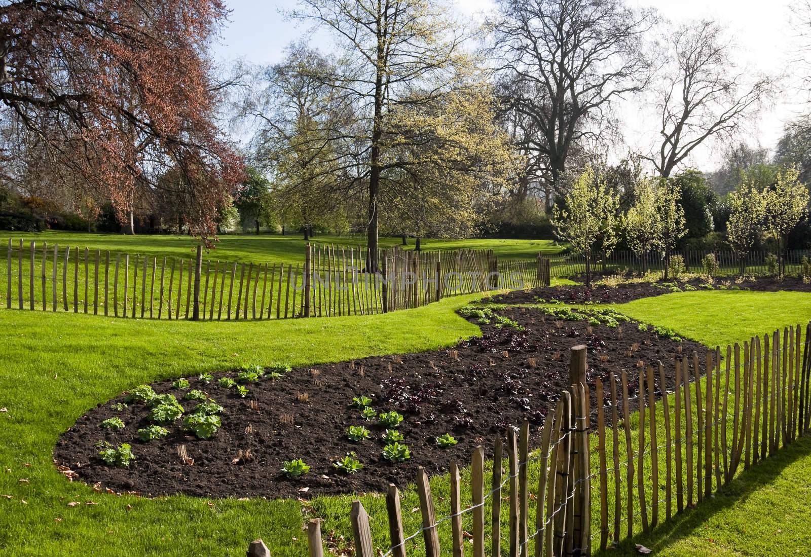 A garden in spring in St James's Park, London, UK