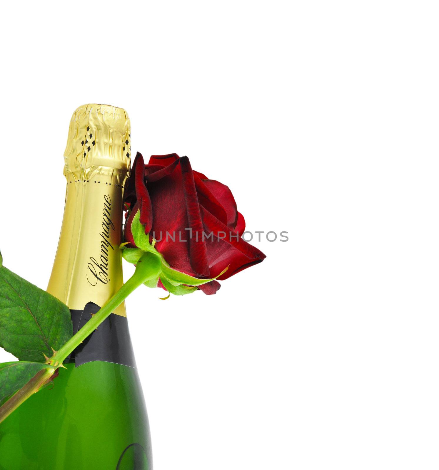 Champagne and a red rose, romantic concept