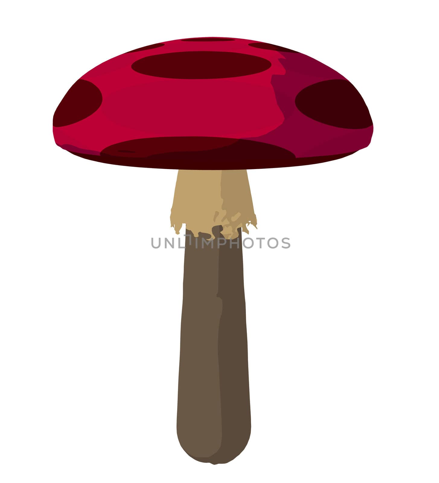 Polka Dotted Mushroom Art Illustration by kathygold