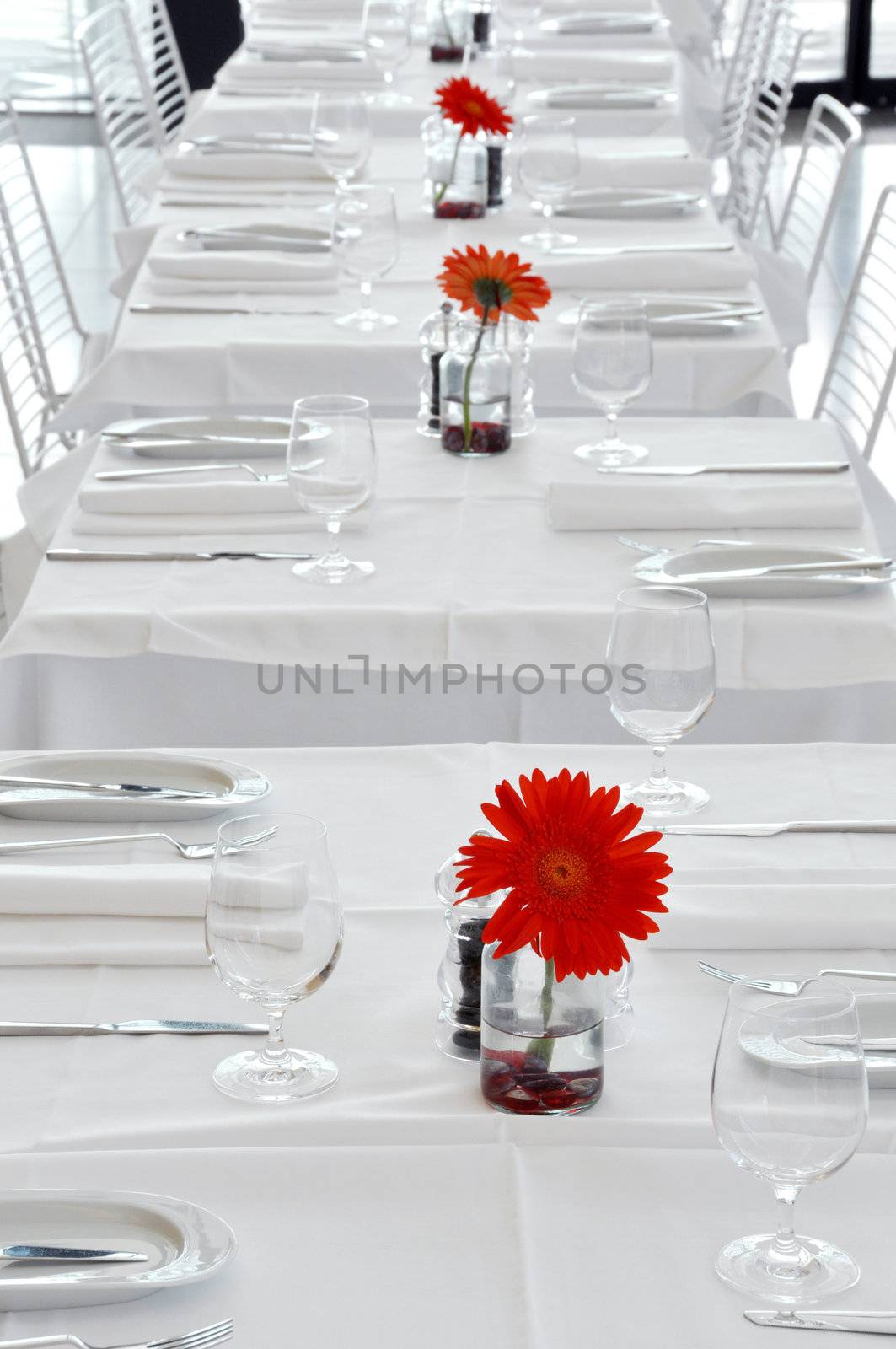 A white contemporary restaurant with a single red flower on each table