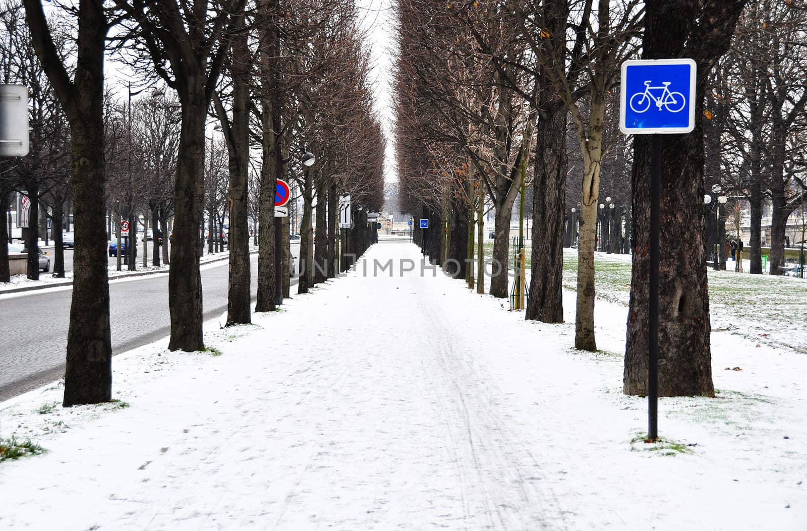Bicycle lane in winter by dutourdumonde