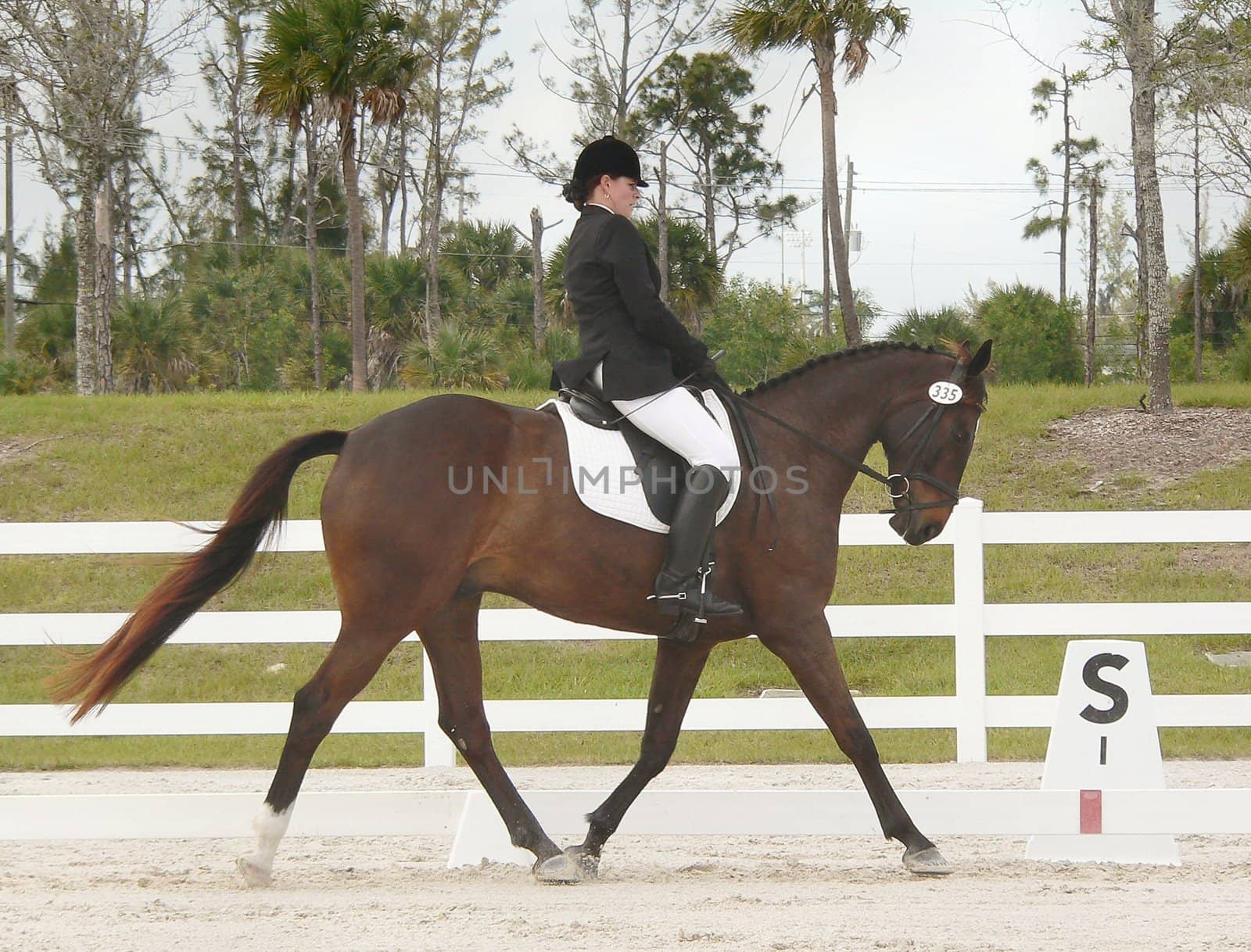 competition photo of horse and rider