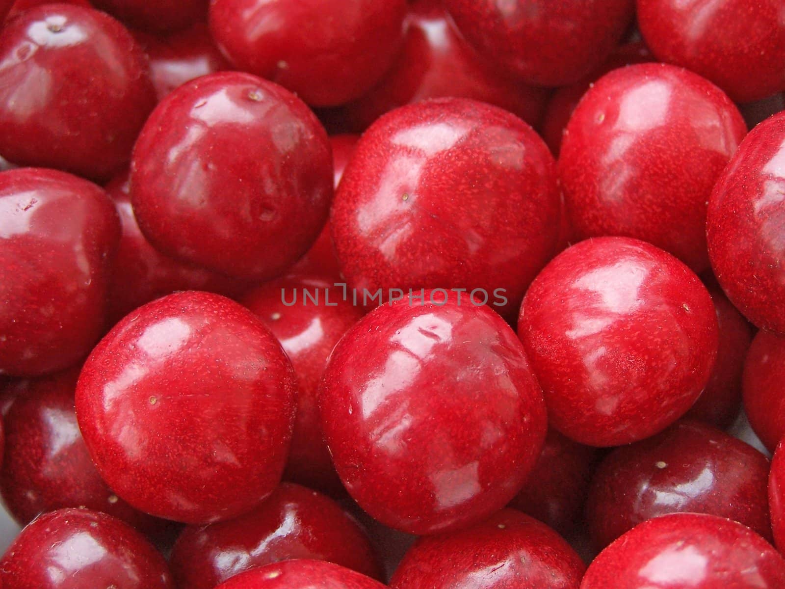 Close up of the red cherries.