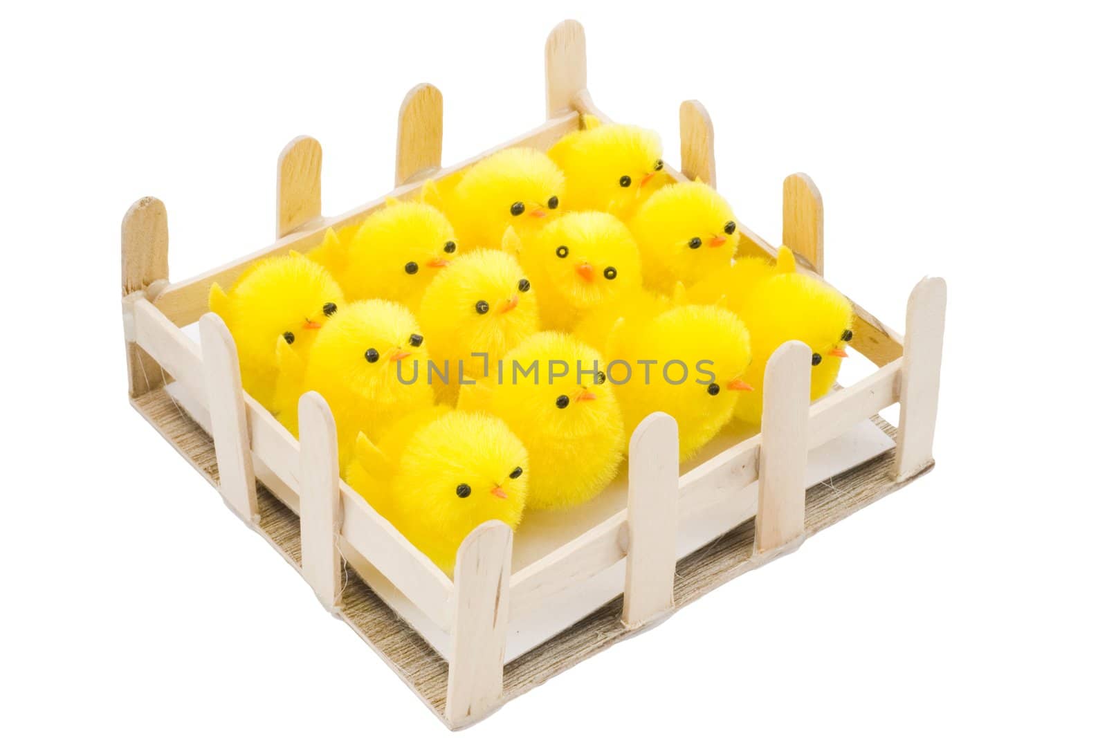 a pen with newborn yellow easter chickens