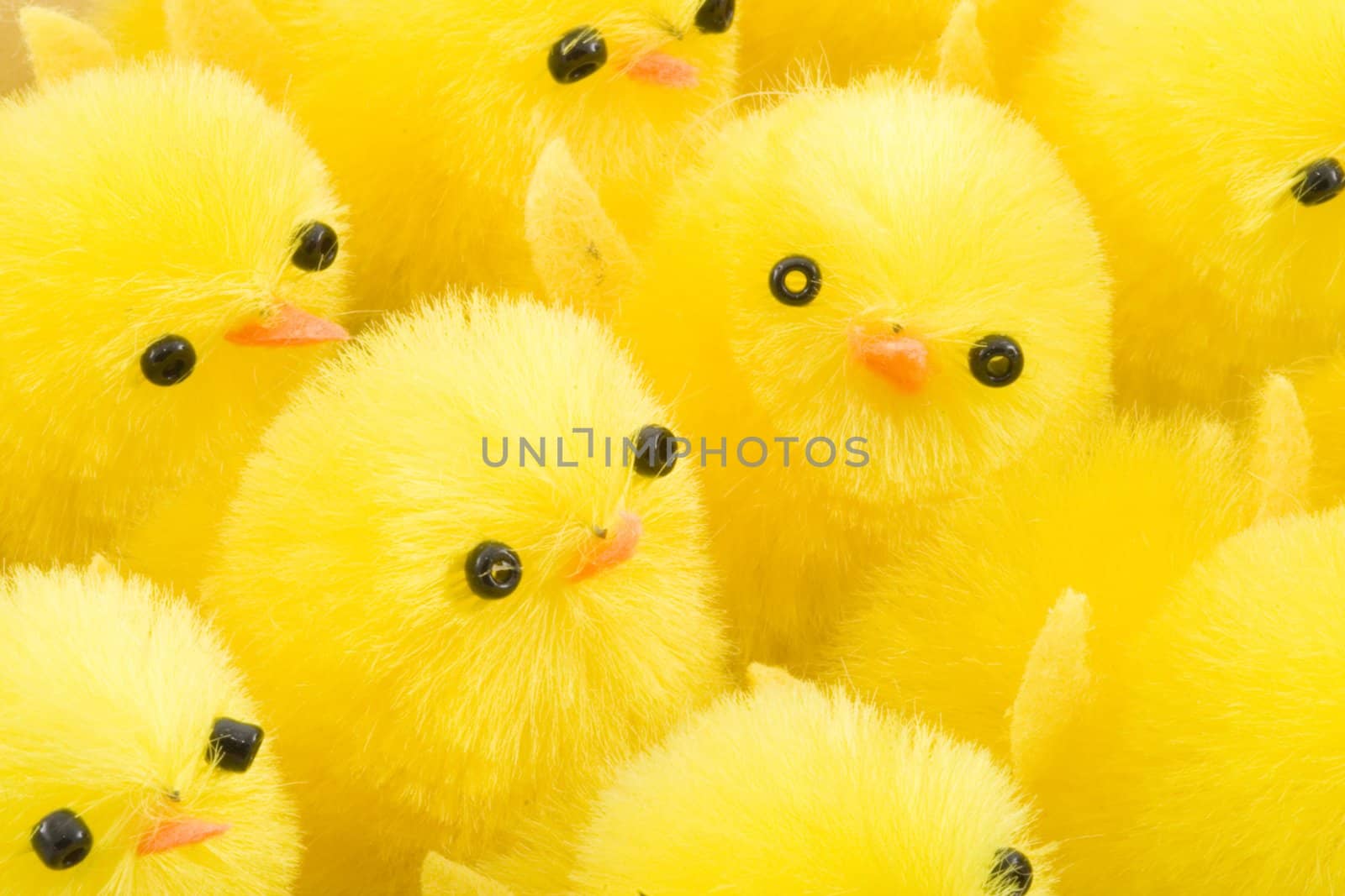 a large group of newborn yellow easter chickens