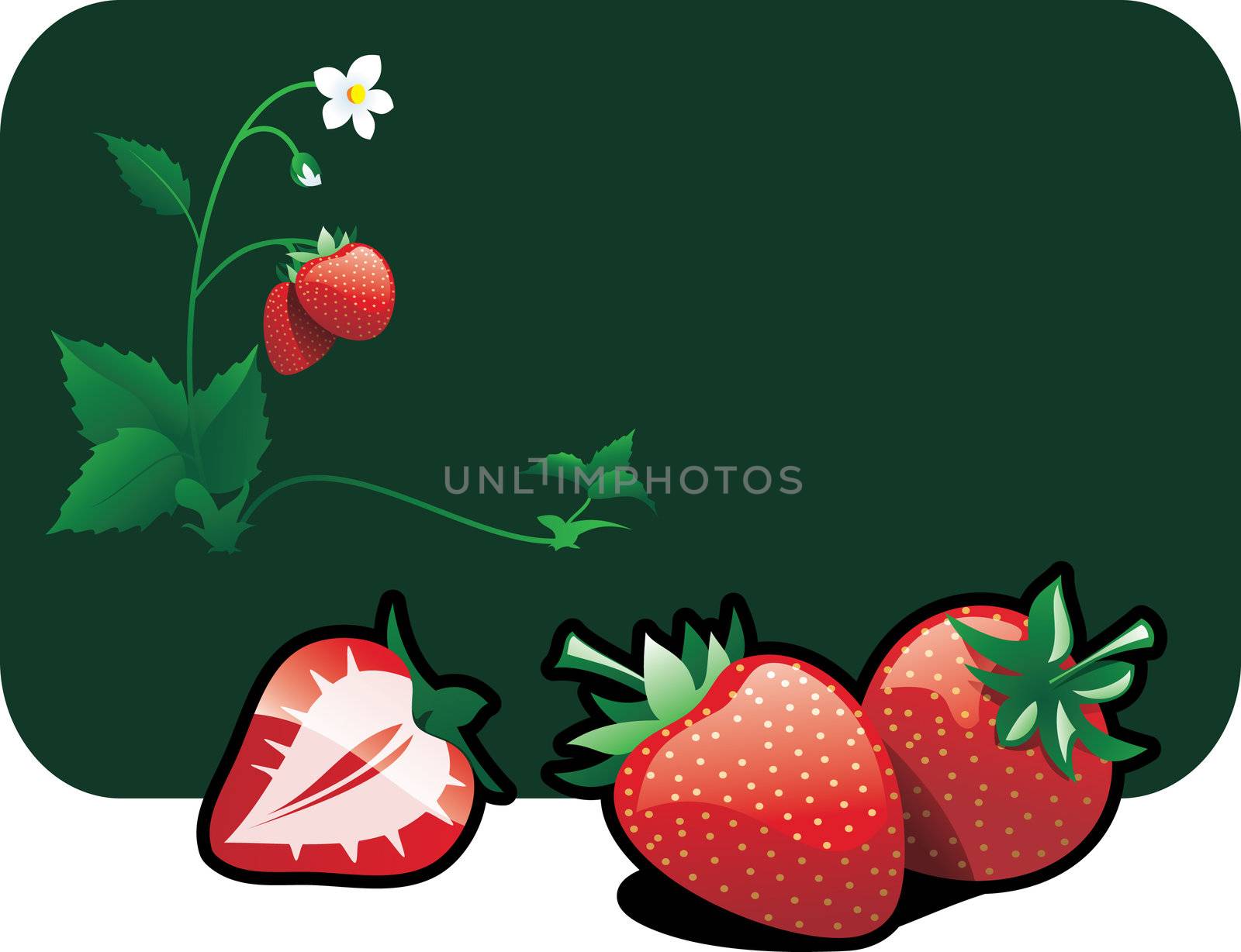 color illustration of a strawberries.