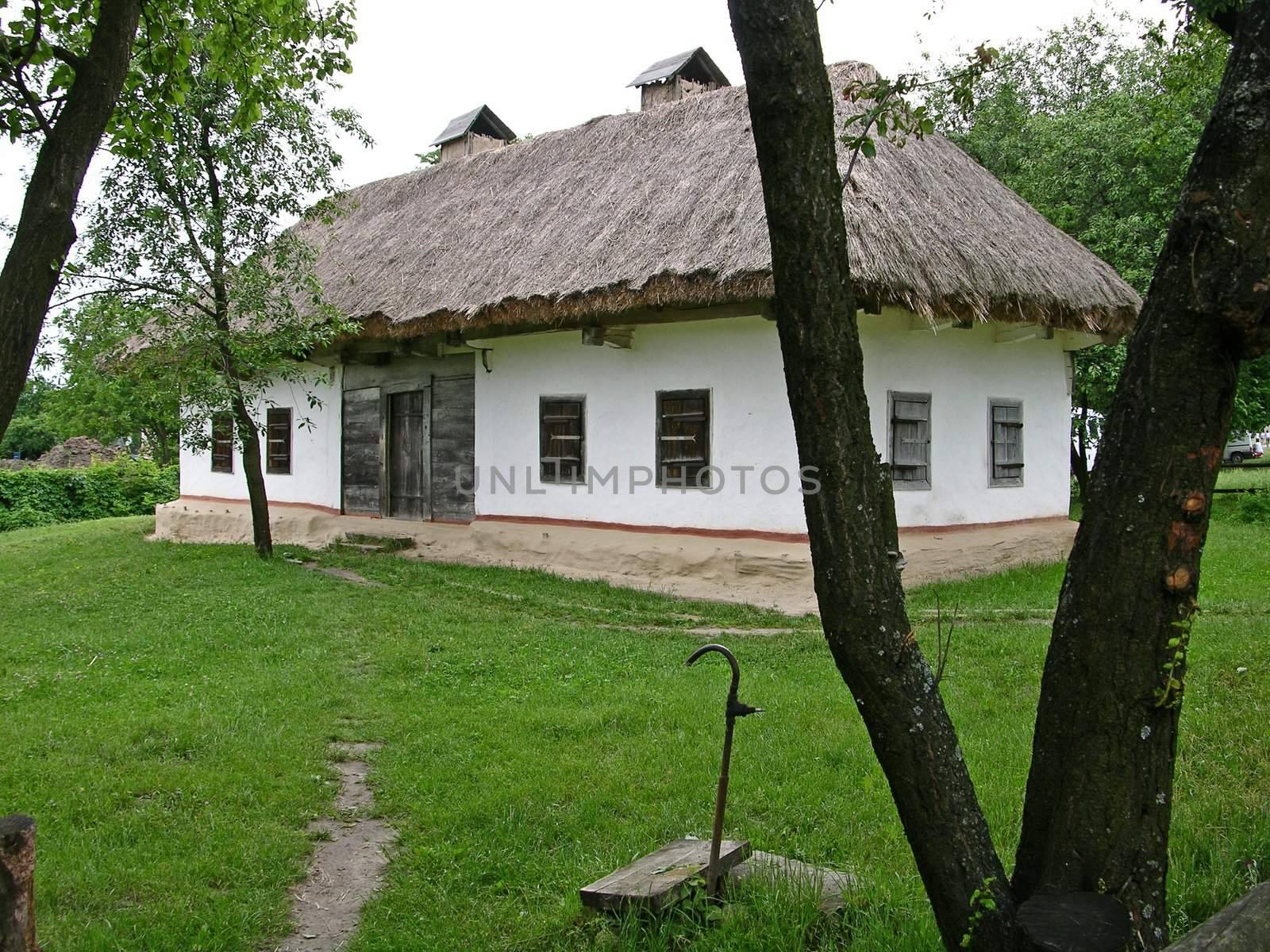 Country house in Pirogovo village (Ukraine)