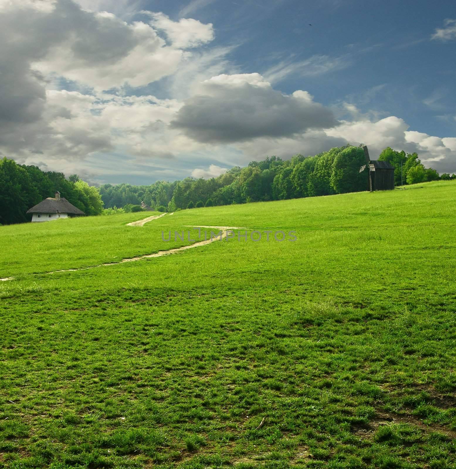 Green grass way by Sergieiev