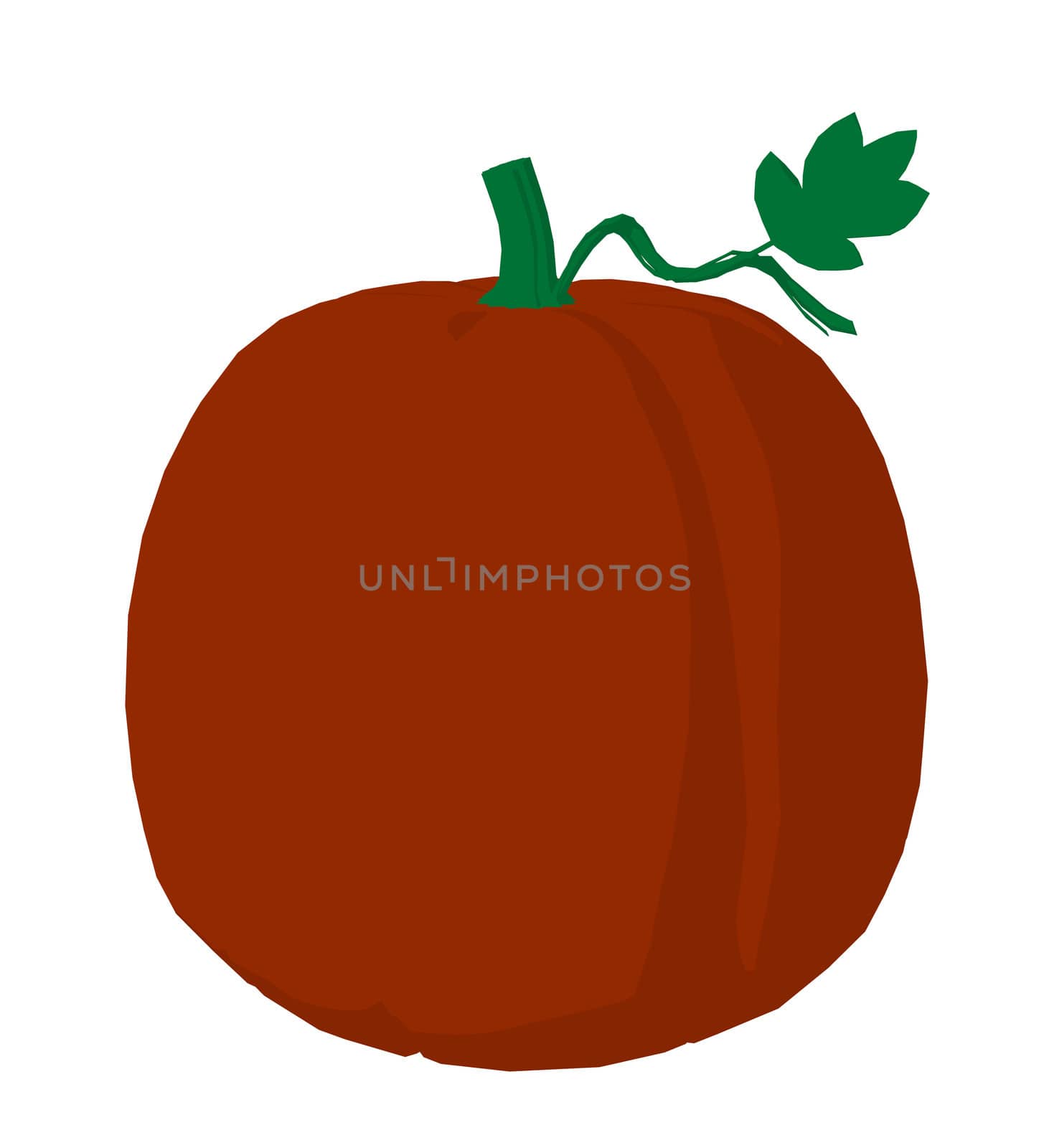 Pumpkin on a white background