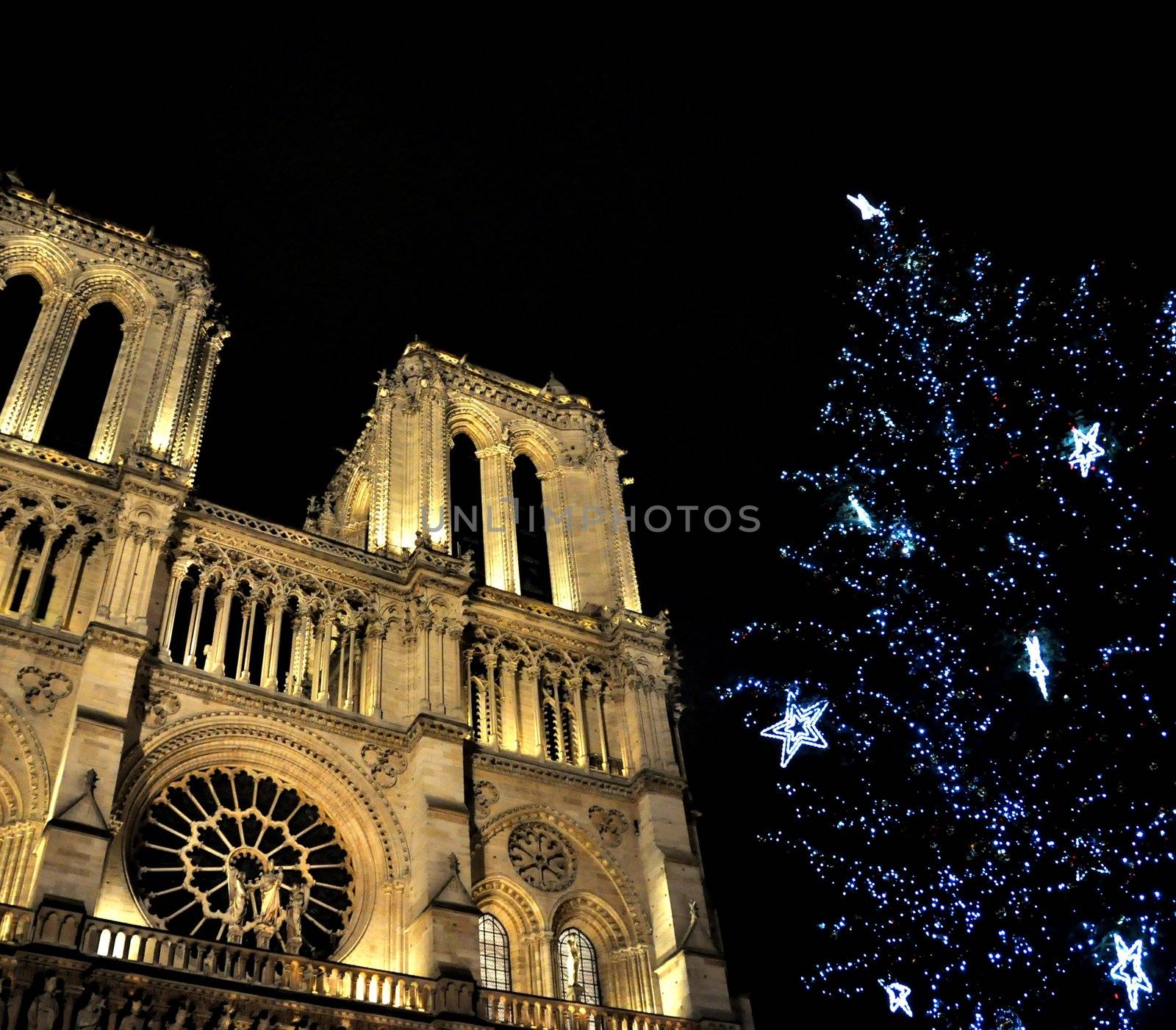 Notre-Dame de Paris at Christmas by dutourdumonde