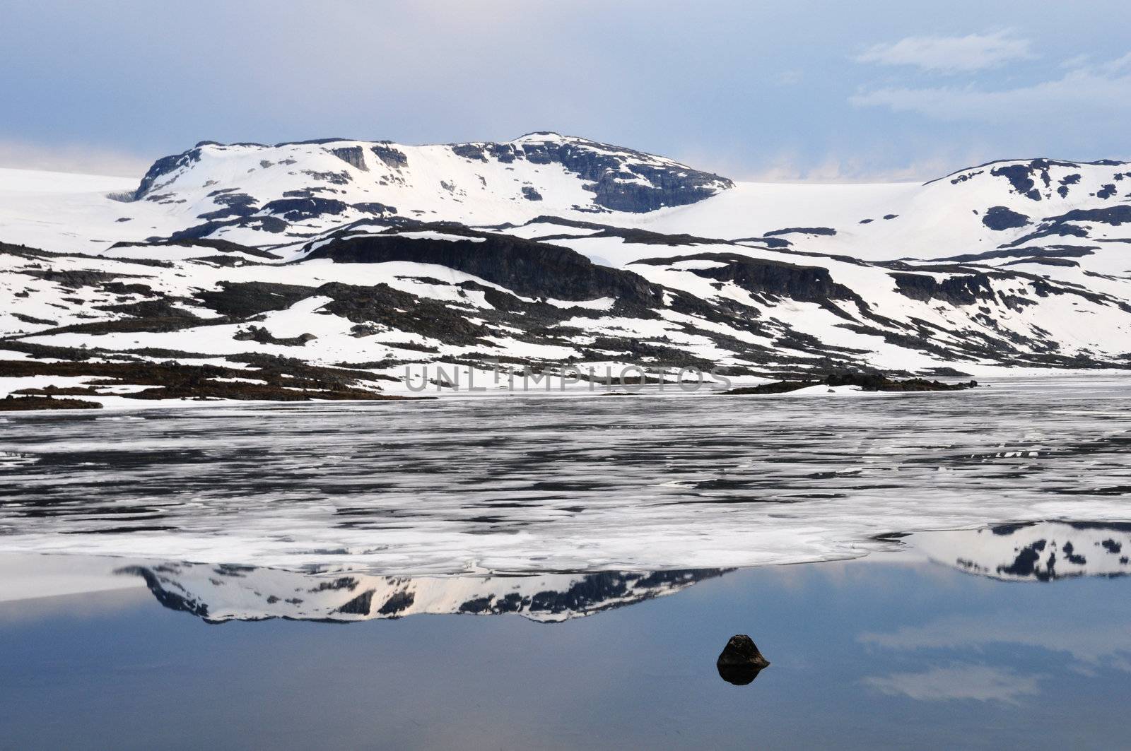 Norwegian landscape in summer by dutourdumonde