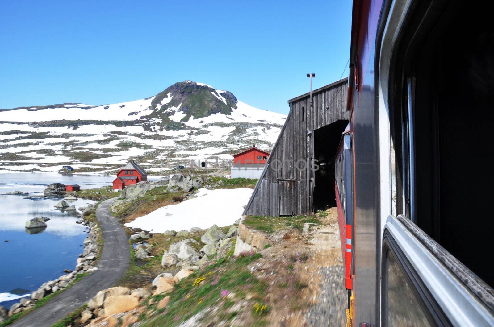 Travel by train across Norway in summer