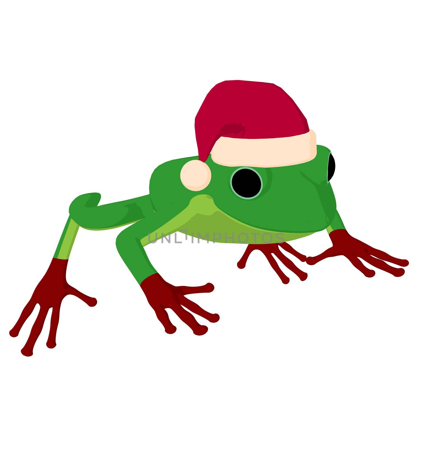 Frog with a santa hat on a white background