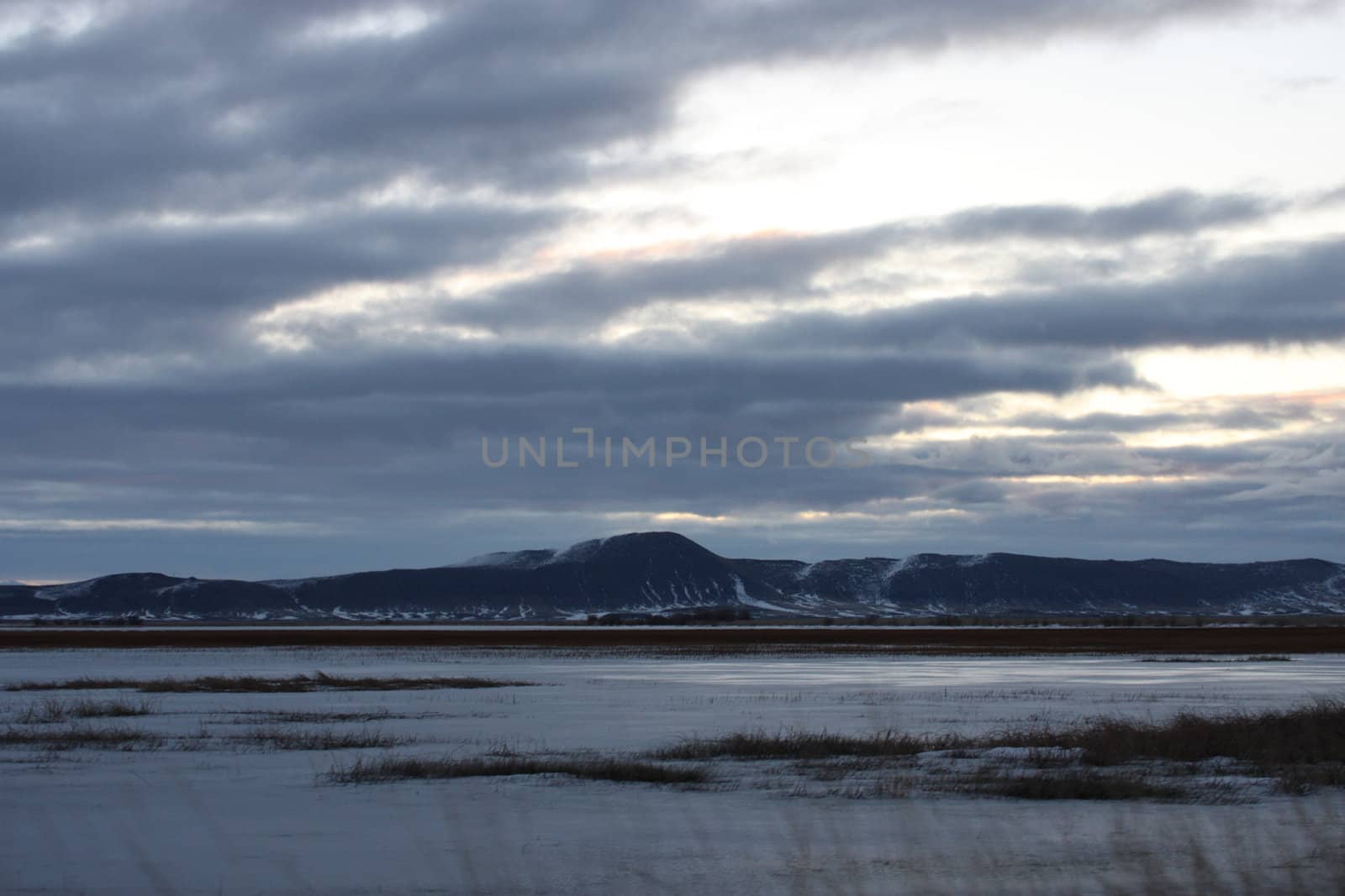 Winter Landscape.  Photo taken at Lower Klamath National Wildlife Refuge, CA.