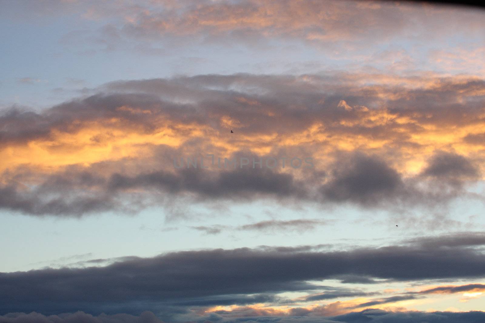 Oregon Sunrise.  Photo taken at Lower Klamath National Wildlife Refuge, CA. by sandsphoto