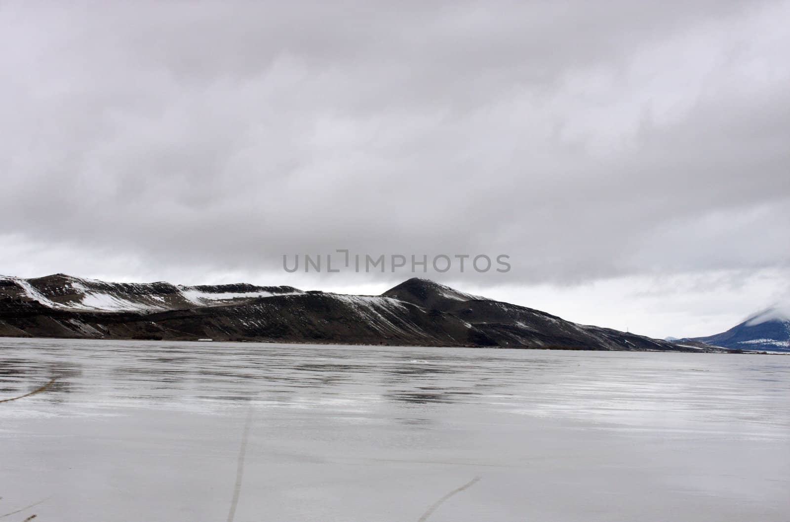 Reflection in the Ice.  Photo taken at Lower Klamath National Wildlife Refuge, CA. by sandsphoto