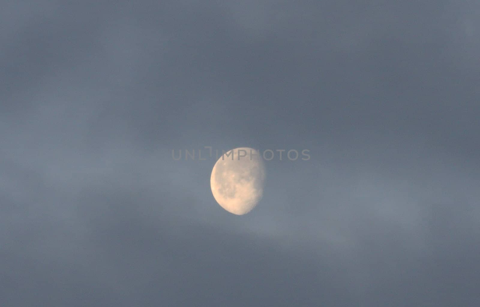 Midday Moon.  Photo taken at Lower Klamath National Wildlife Refuge, CA. by sandsphoto