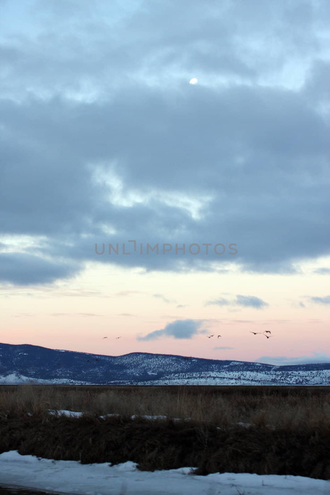 California Sunrise.  Photo taken at Lower Klamath National Wildlife Refuge, CA.