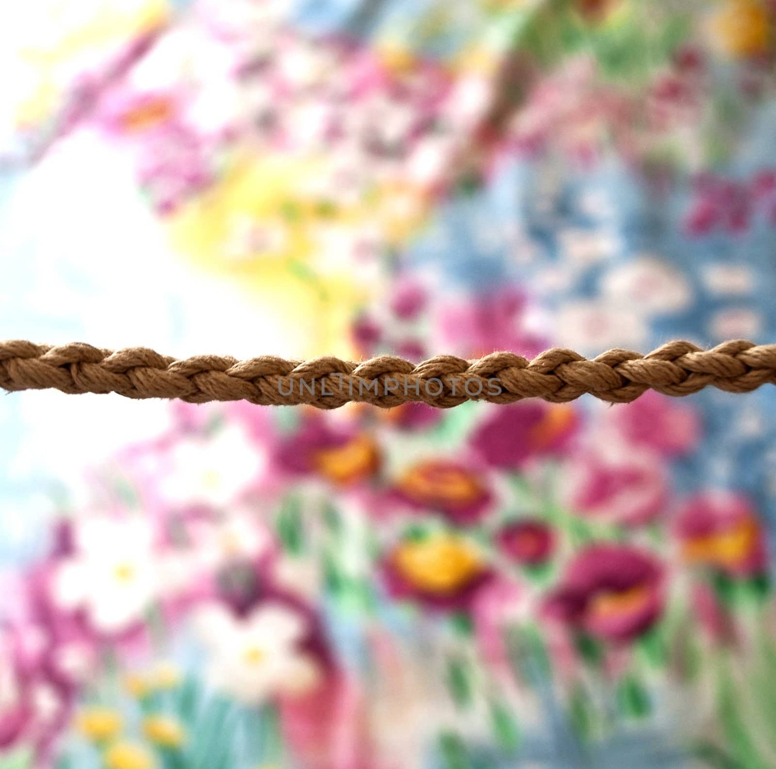 Rope against a colorful background