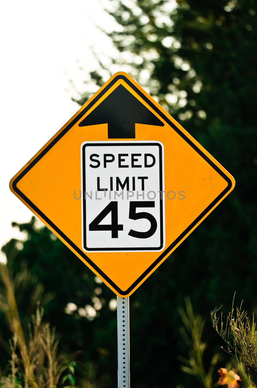 Road sign used in the USA, 45 MPH speed limit. by lobzik
