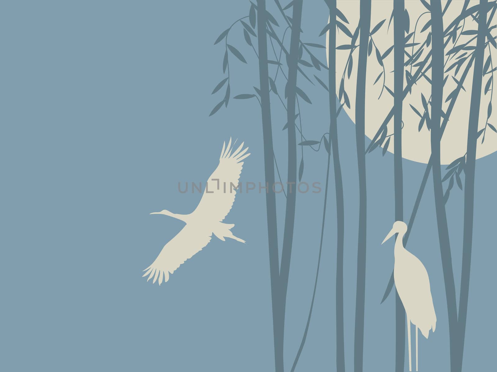 Romantic background illustration with storks and babmboo forest in the moonlight