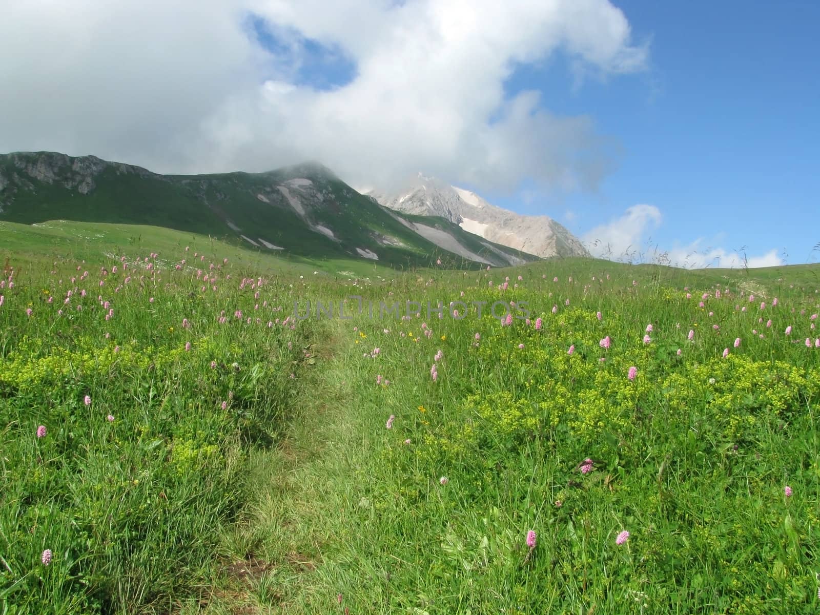 Mountains; rocks; a relief; a landscape; a hill; a panorama; Caucasus; top; a slope; clouds; the sky; a landscape