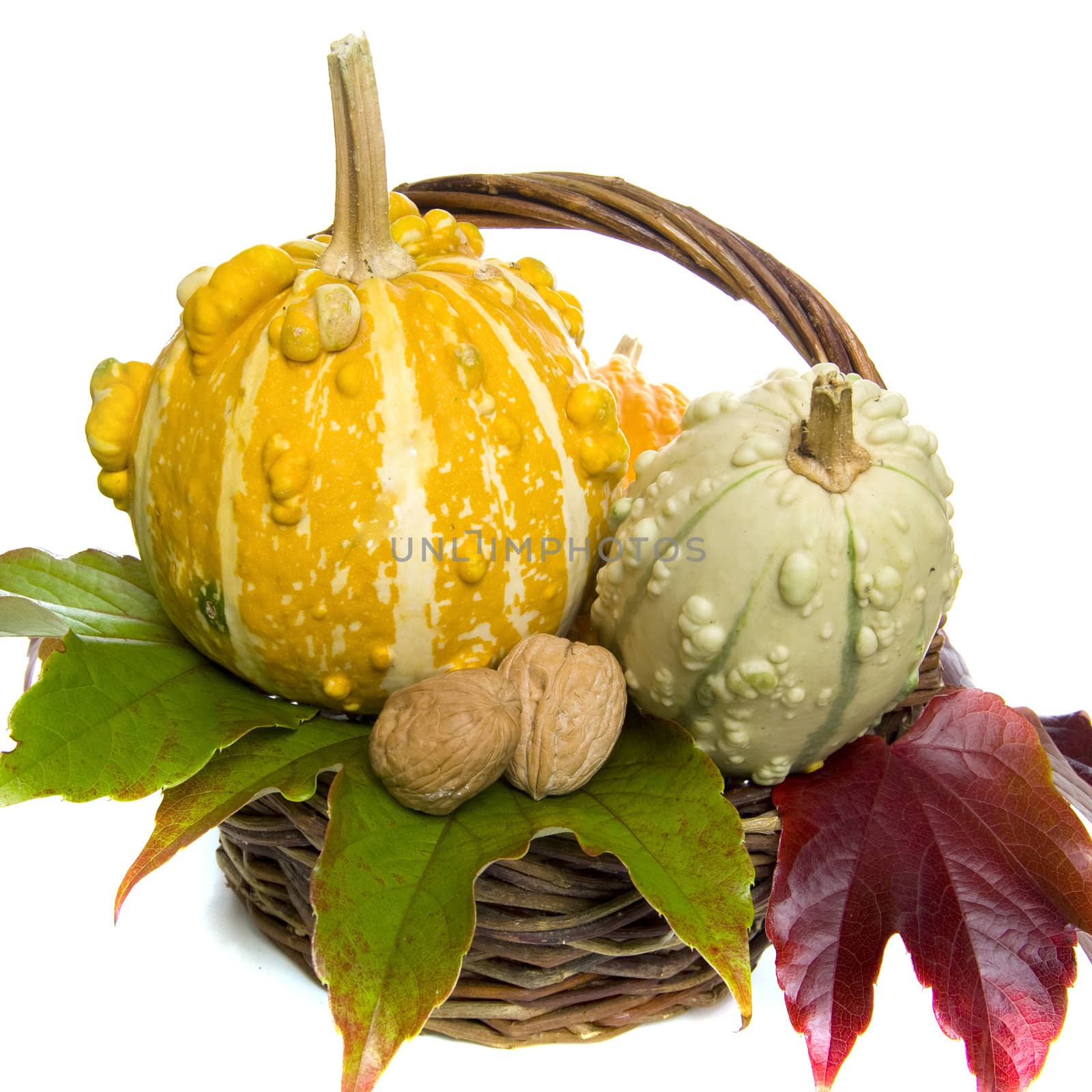 calabashes in a basket on a white background