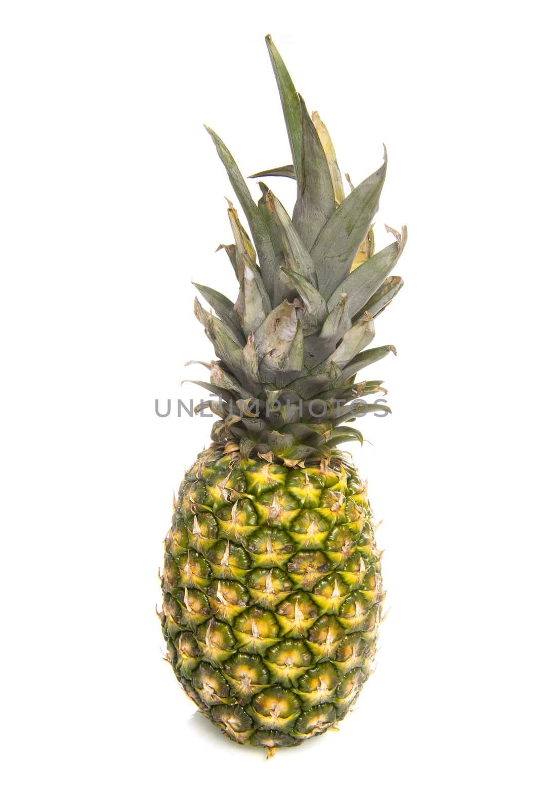 a pineapple on a white background