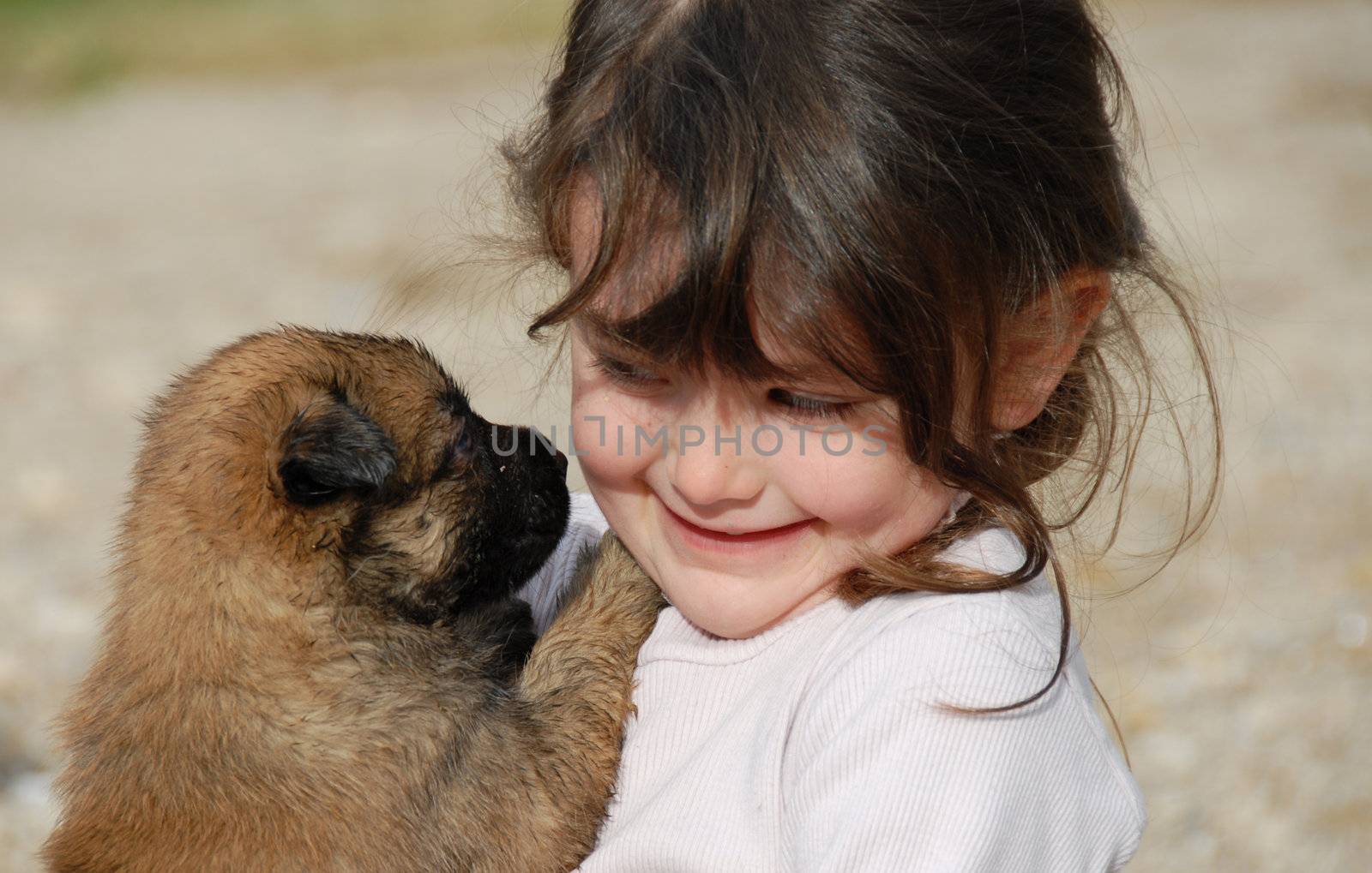 little smiling girl and her young puppy purebred belgian shepherd malinois