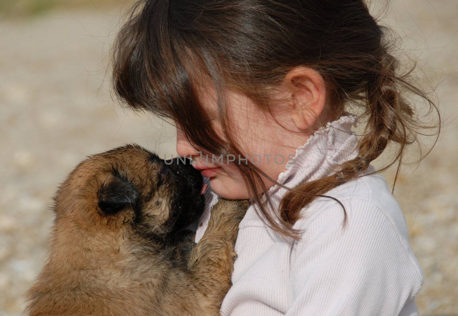 sad child and her very young puppy belgian shepherd