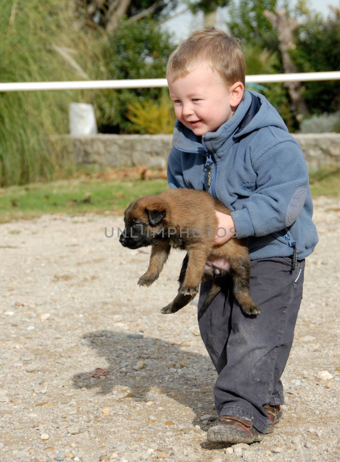 little boy and his puppy purebred belgian shepherd